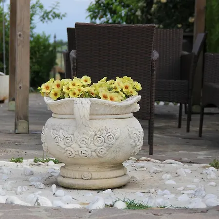 Bauernhof Il Salice Castilenti